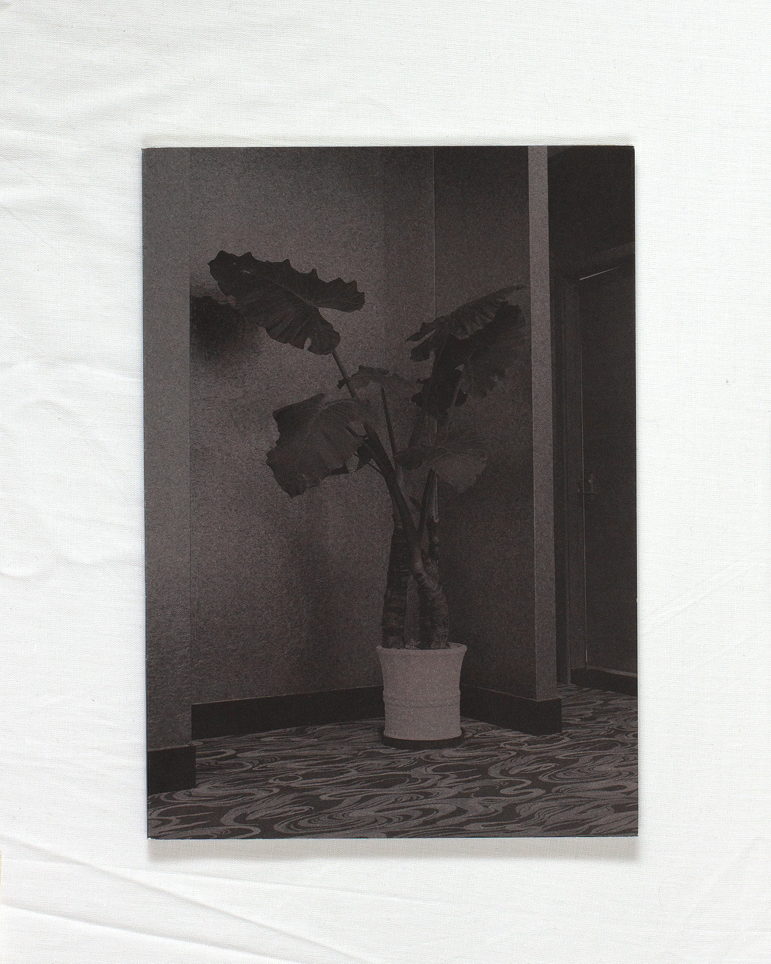 China/S75 by Petra Stavast