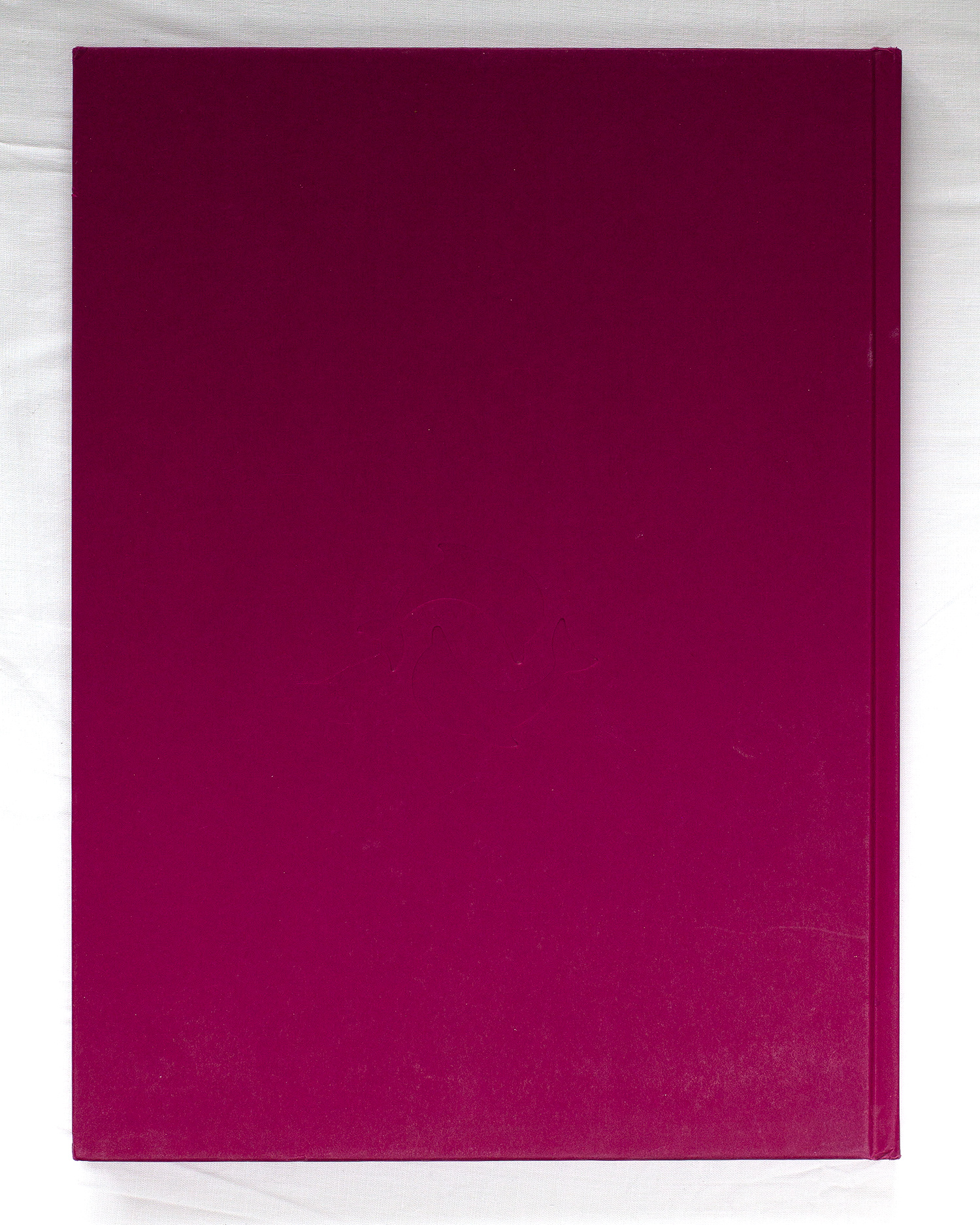 Hong Kong: Front Door/Back Door by Michael Wolf