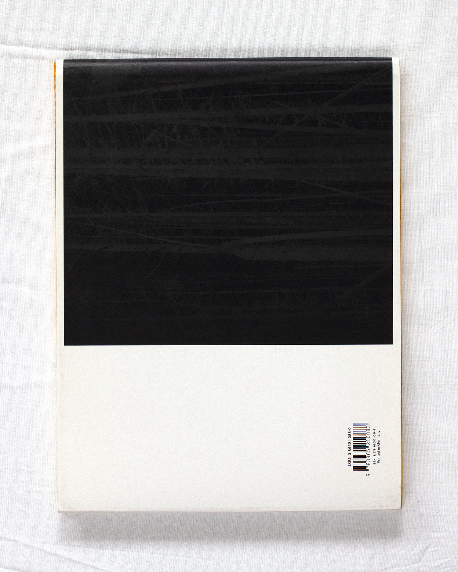 Sophy Rickett (Monograph)