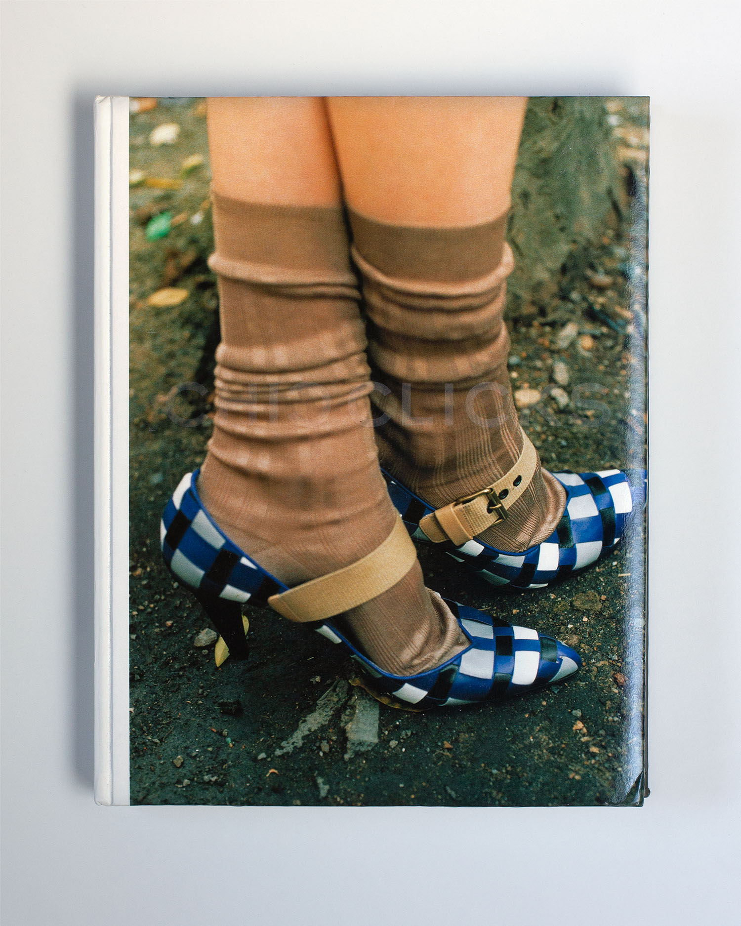 CHIC CLICKS写真集アートTerry Richardsonsupreme Look! Books! Lookbooks! — Chic Clicks: Creativity and